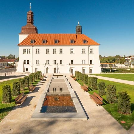 Chateau Clara Futura Dolni Brezany Exterior photo